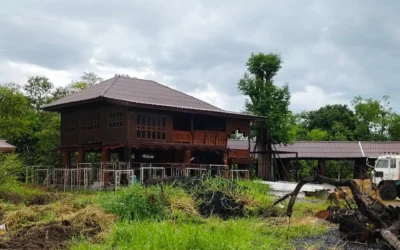 ป่าใหญ่ปทุม